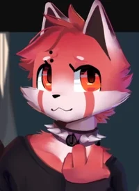 red panda femboy 
