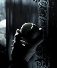 Draco M