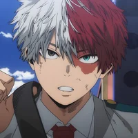 Shoto Todoroki