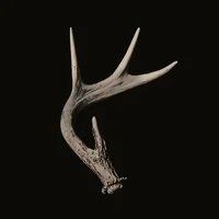 00 INTRO AND RECS 