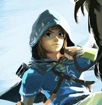 Botw Link