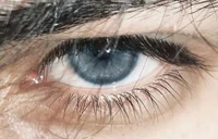 richard dick grayson