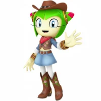Cowgirl Cosmo Duel