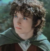 Frodo Bolson 