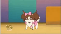 Yuna Kamihara dog tf