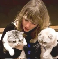 Taylor Alison Swif 