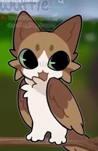 Meowl Is cool ngl