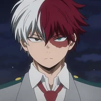 Shoto Todoroki 