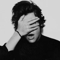 Harry Styles -school