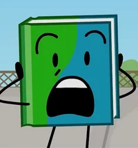 Book BFDI