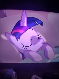 Princess twilight 