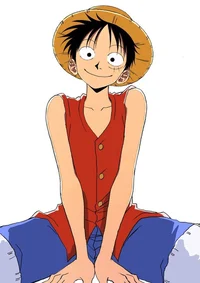 OP-Monkey D Luffy