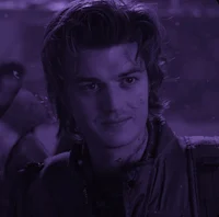 Steve Harrington 