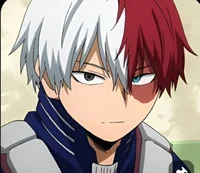 Shoto Todoroki
