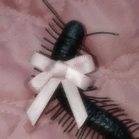 Centipede hybrid