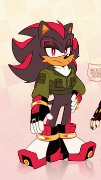 SHADOW THE HEDGEHOG 