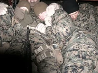 Elite Force Teammate