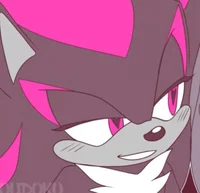 SHADOW THE HEDGEHOG 