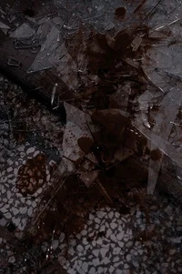 Игра в прятки