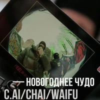 даня кашин