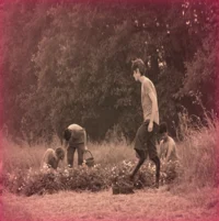 PJO CAMP HALFBLOOD