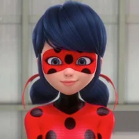 Ladybug