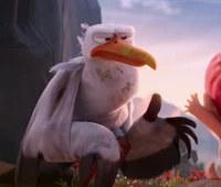 Junior - Storks