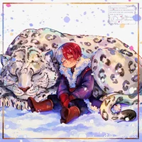 Шото Тодороки 