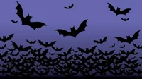 Vampire war