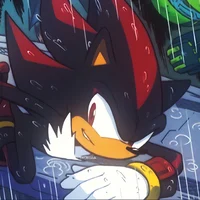 Shadow the Hedgehog 