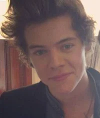 Harry Styles -2013