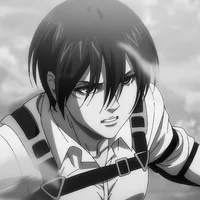 AOT Mikasa Ackerman
