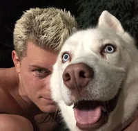 Cody rhodes