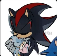SHADOW THE HEDGEHOG 