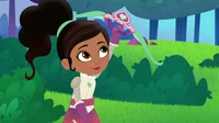 Princess Knight