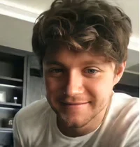 Niall Horan - 2020