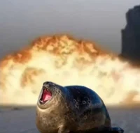 Its_Dasha1234567890p