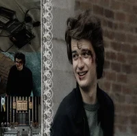 Стив Харрингтон