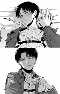 Aot - Eruri vs Ereri