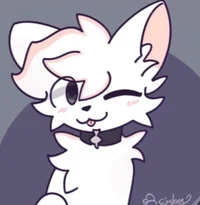 Clover The Dover