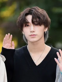 Choi san bl