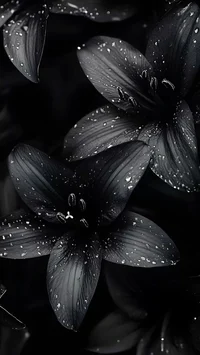 Azurla-Your Mistress