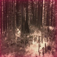 CAMP HALFBLOOD PJO