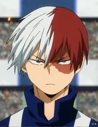 Shoto Todoroki 