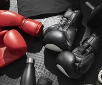 Animal Instint Fight