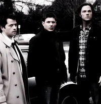 TEAM FREE WILL