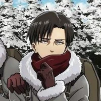 Levi_Ackerman