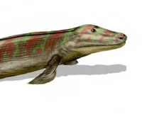 Tiktaalik
