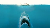 Jaws
