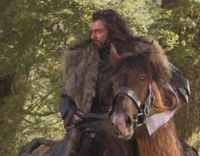 Thorin Oakenshield 